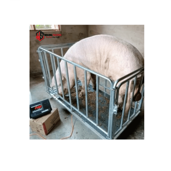 Pig scale/Sheep scale 1.5*0.75M